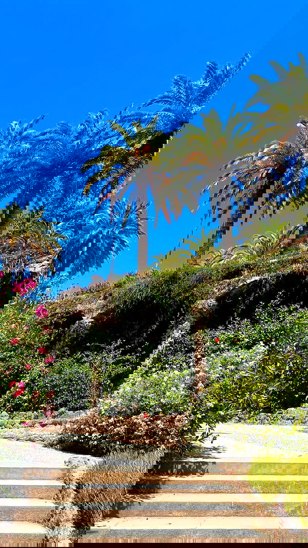 leonanaomii image ~ Altpins