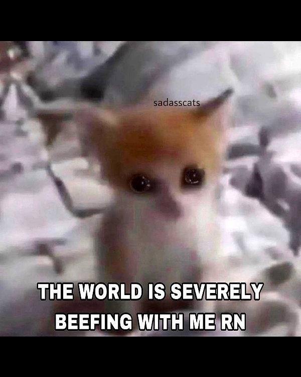 leanbeefpatty instagram image archive image