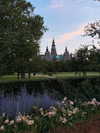 elsgatti Altpins Profile Picture
