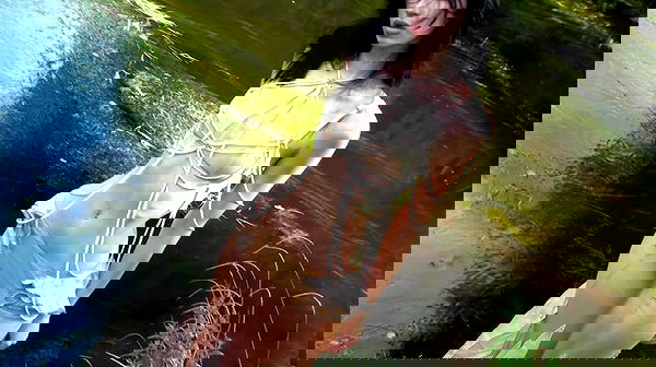 quincymood quincymood archive image