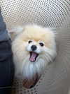 nikoleta.milenova Altpins Profile Picture