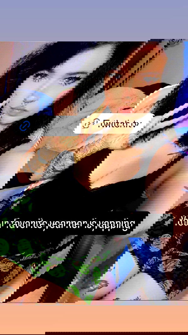 chibinekopurr chibinekopurr archive image