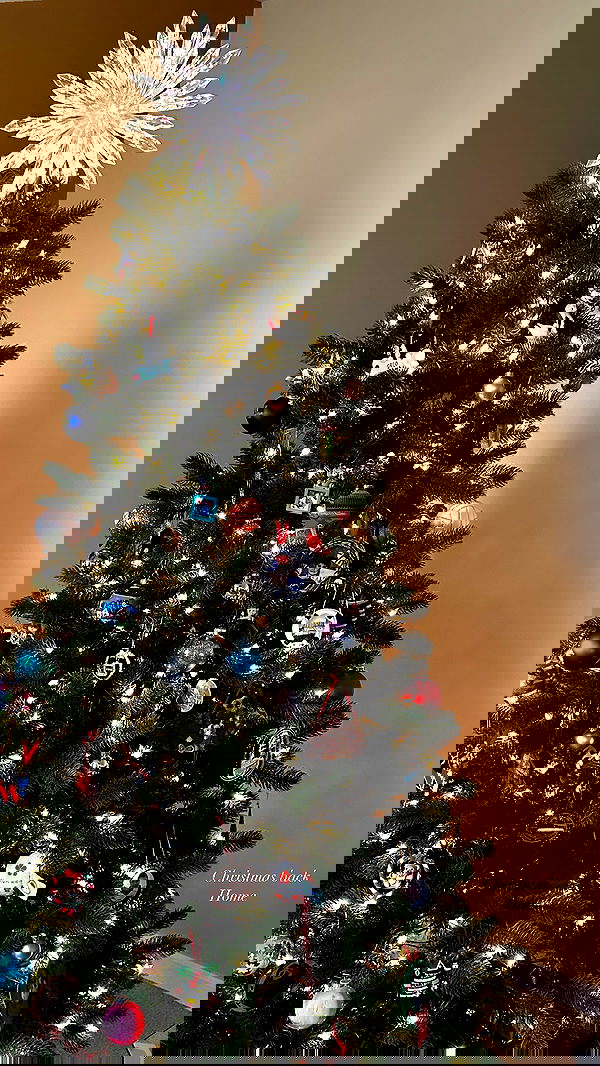 taylor.creeden taylor.creeden archive image