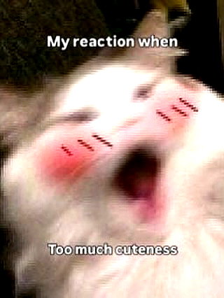 milkibunshehe instagram image archive image