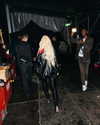 xtina Altpins Profile Picture