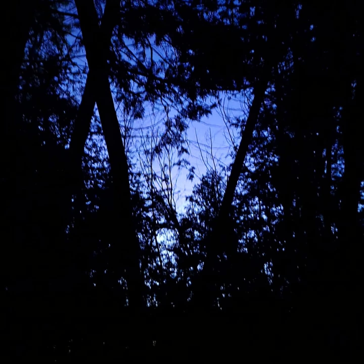 xombunni instagram image archive image