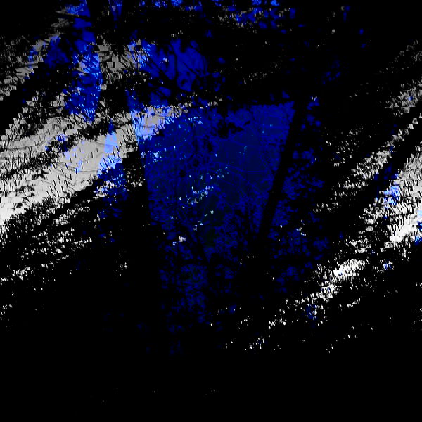 xombunni image ~ Altpins