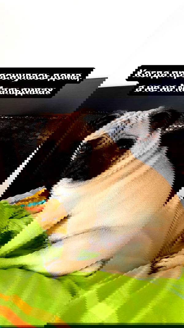 nyityam nyityam archive image