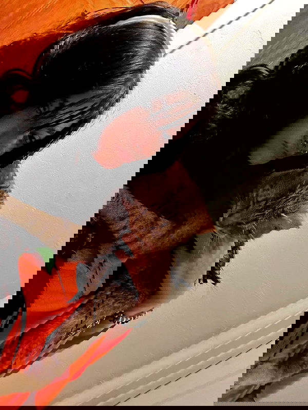 _animechika_ image ~ Altpins