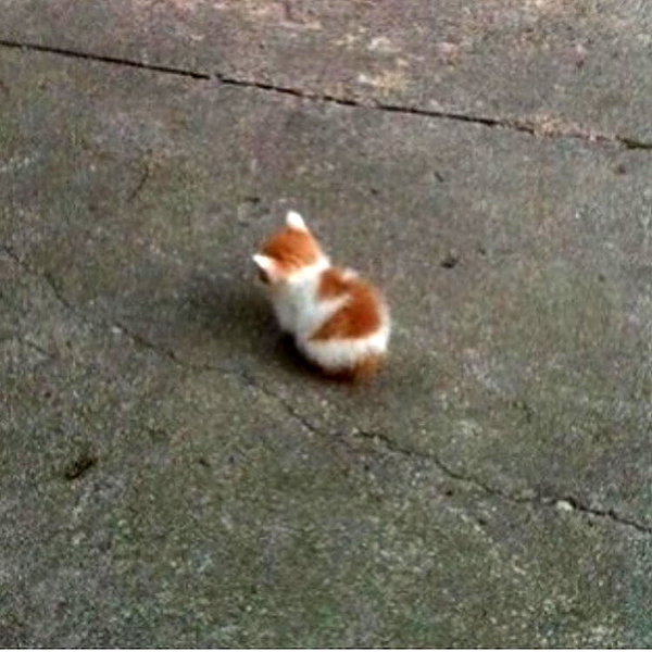 leanxhrt instagram image archive image