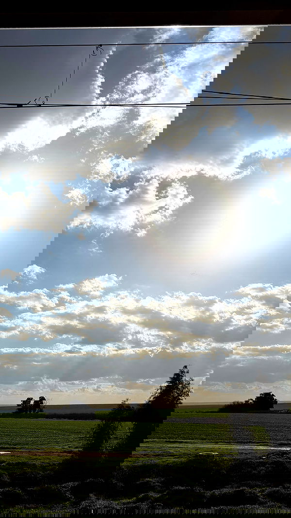 efrat_elmalich efrat_elmalich archive image