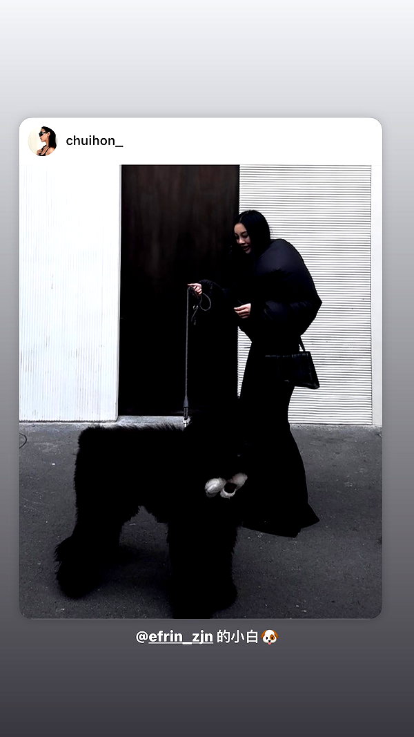 chuihon_ instagram image archive image