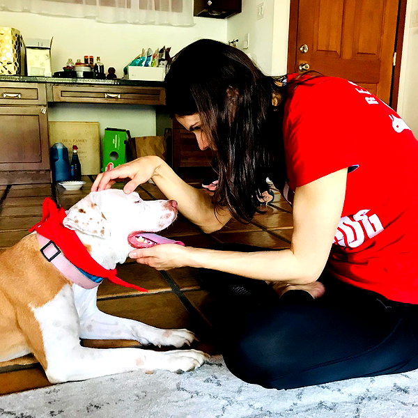 alexandradaddario instagram image archive image