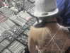 biohazard.g1rl Altpins Profile Picture