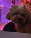 badthingalwaysg Altpins Profile Picture