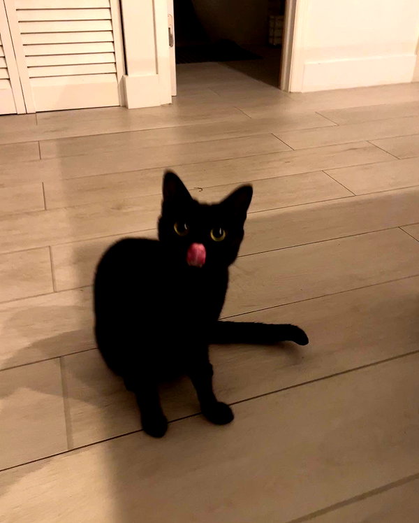 peachtoot.plz instagram image archive image