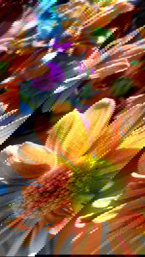 taylor.creeden taylor.creeden archive image