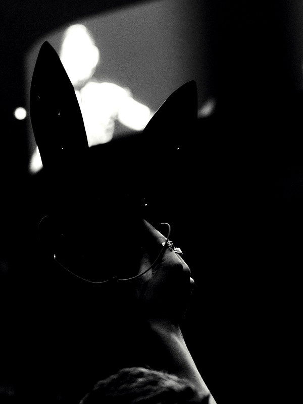 arianagrande instagram image archive image