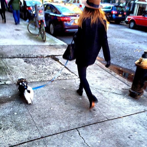 ashleybenson instagram image archive image