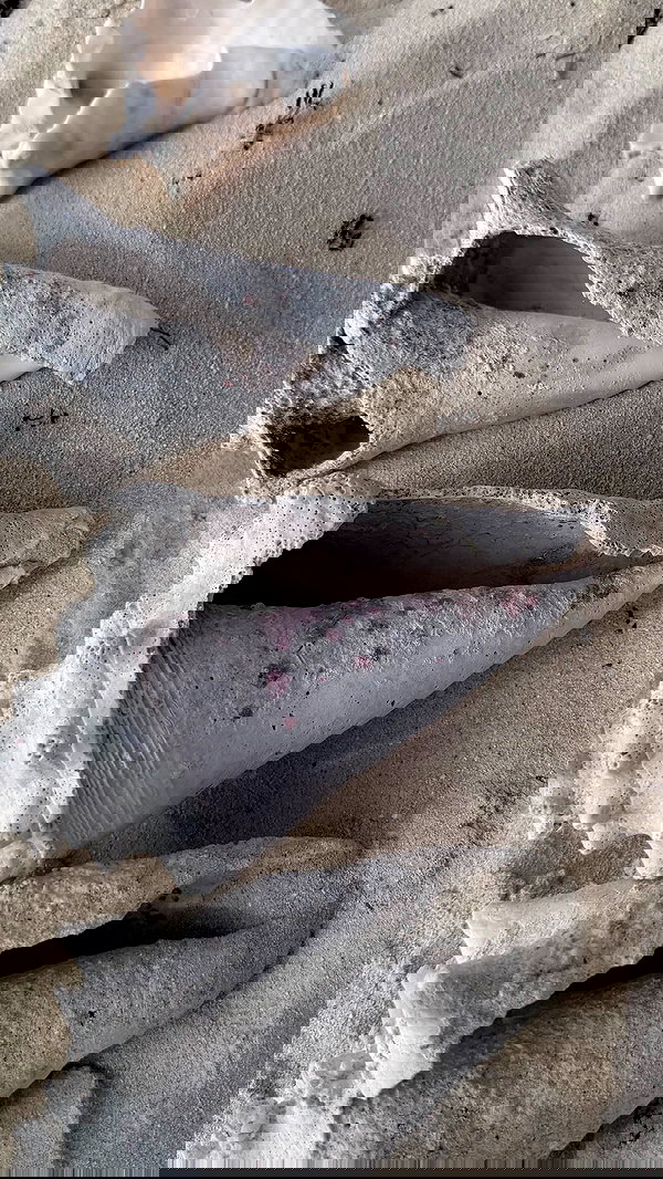 svgarbvnnies svgarbvnnies archive image