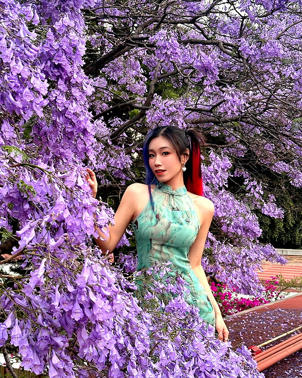 shulunc instagram image archive image