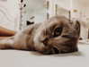 ofri.elul Altpins Profile Picture
