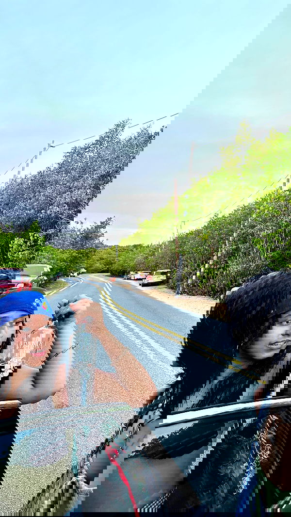 mosssaico mosssaico archive image