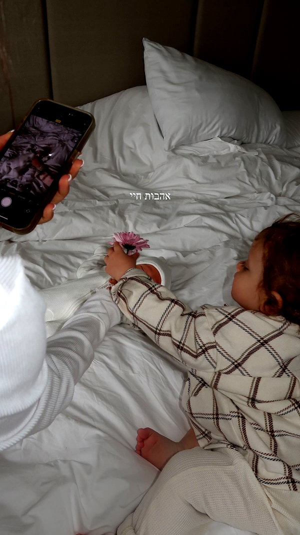 neta_alchimister instagram image archive image