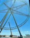 qar___1002 Altpins Profile Picture