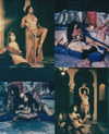 jasminxie2 Altpins Profile Picture