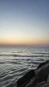 seline_paz Altpins Profile Picture