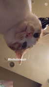 jiw_____n Altpins Profile Picture