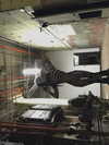 zommmbri Altpins Profile Picture