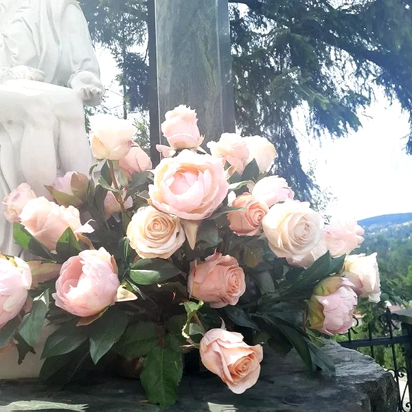 Archived image from @ssarnvd on Instagram