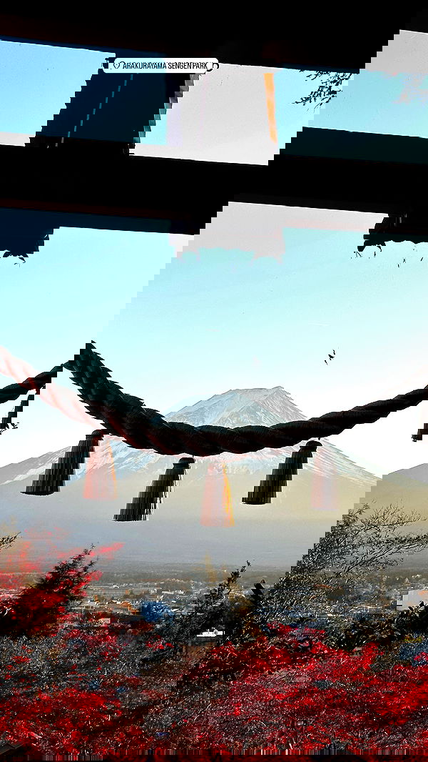 taylor.creeden taylor.creeden archive image