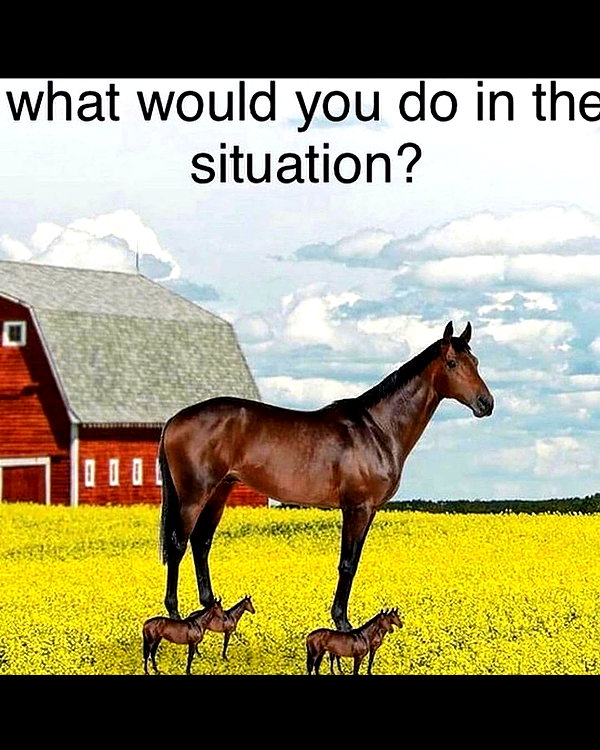 leanbeefpatty instagram image archive image