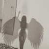 ofri.elul Altpins Profile Picture