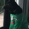 camila_cabello Altpins Profile Picture