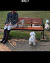 ll.lu1s Altpins Profile Picture