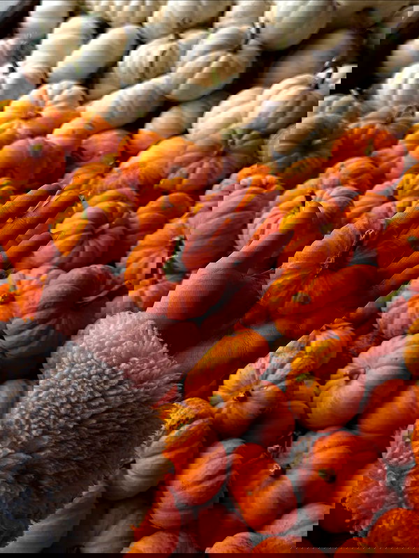 taylor.creeden taylor.creeden archive image