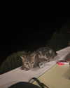 marlene_808 Altpins Profile Picture