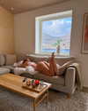 rouxroux.tv Altpins Profile Picture