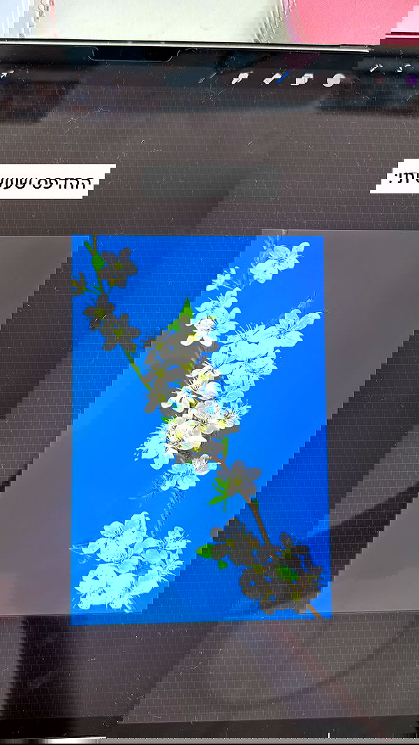 itsilanosh itsilanosh archive image