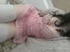 ash.onme Altpins Profile Picture