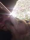 muze Altpins Profile Picture