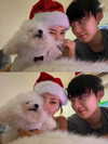 ll.lu1s Altpins Profile Picture