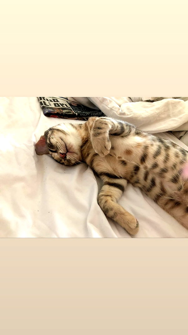 Archived image from @notchicore on Instagram