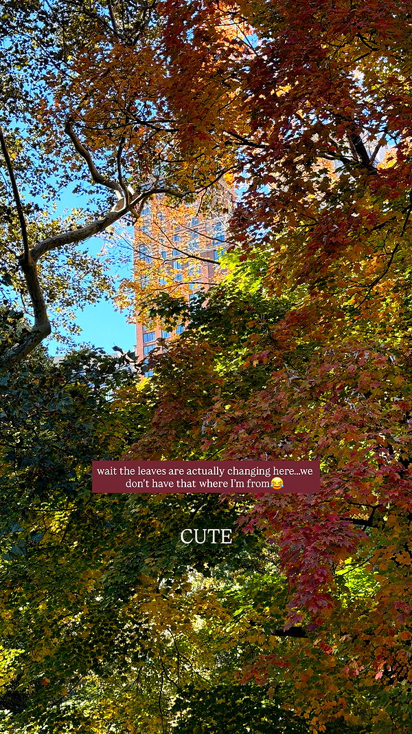 Archived image from @yazgolden on Instagram