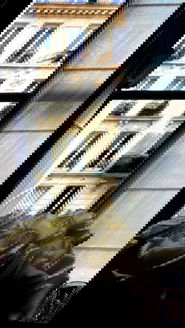 taylor.creeden taylor.creeden archive image