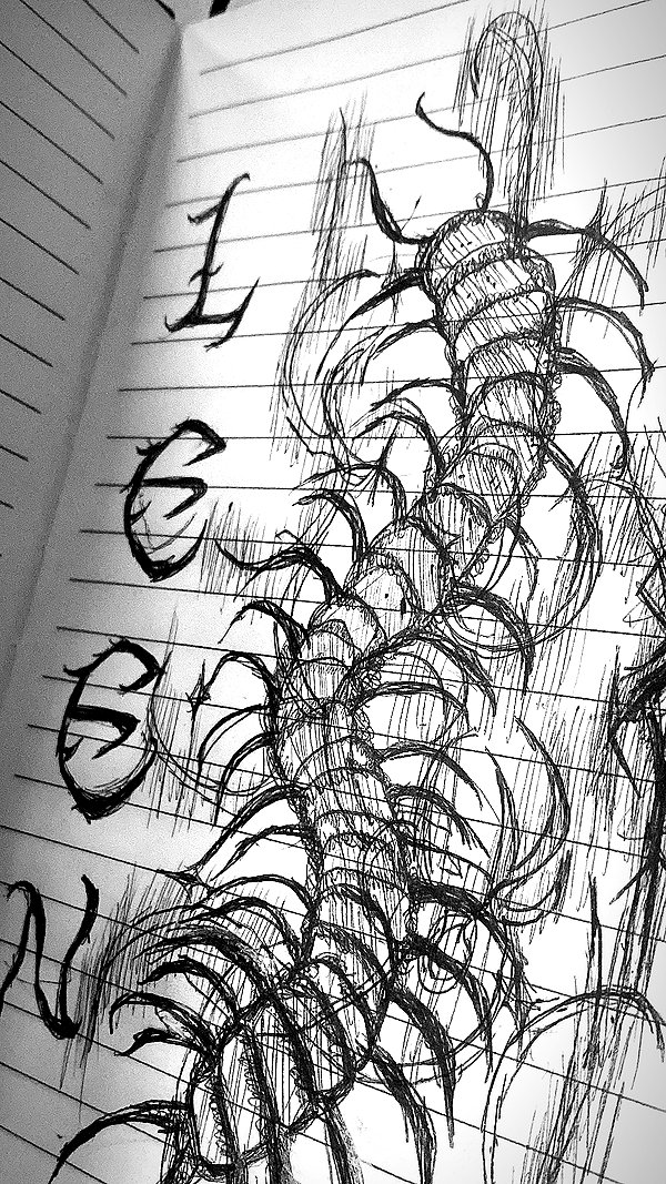 felinaaxi archive image